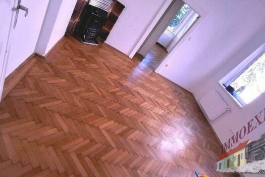 20250620_133244_resized