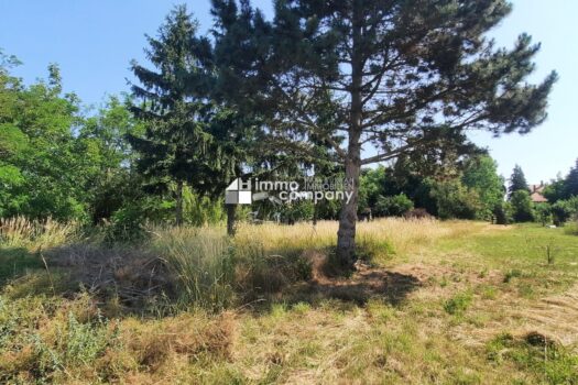 Grund hinten mit Altbaumbestand