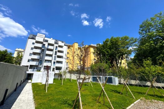 2Owwh1p4pSG1dkaXqVKpHU 8