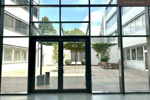 2wyteXeR2p5m6hnWobMhFH