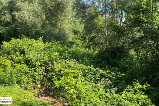 Traumhaftes Baugrundstück in Altenberg, Niederösterreich - kein Bauzwang! 359PLqkv223XJEtpAlwOb1