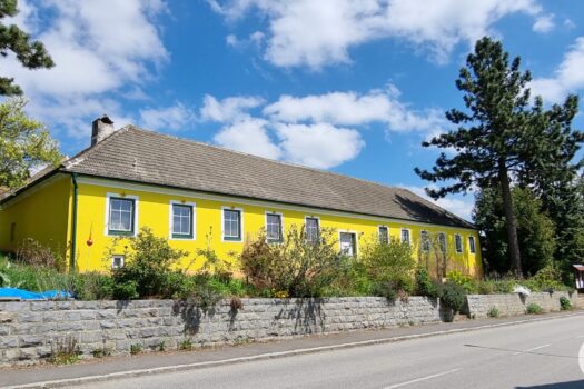 35LCuXj3PsRSnYh6GCs2Wg