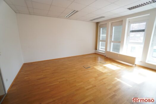 3CLT5IohE8qSe0W1RrkoW