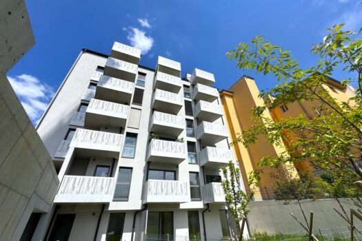 3JQMqWt4caM5TqT2thpMj4 11