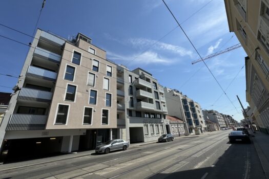 3PfZFIXyecjGMyPQsyqGqi