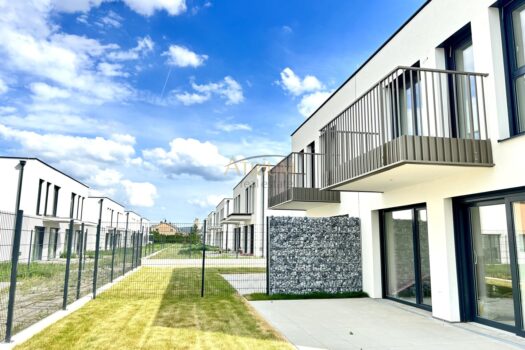 3cYUNEznok2YoVWNcn4h7t