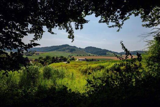 Traumgrundstück am Waldrand: Genießen Sie ein einladendes Sonnenparadies mit Panoramablick! 3muEAQcMRgjKgOnXHshj4h