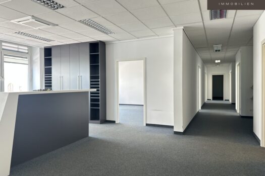 3tSrpnEr7vGY4n9cKf78fE