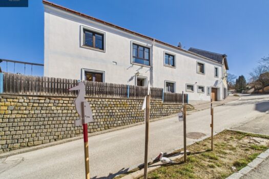 Gepflegtes 6-Zimmer Einfamilienhaus - Ob als familienfreundliches Eigenheim oder als lohnende Investition Seitenansicht inkl. Eingang - Pic 2