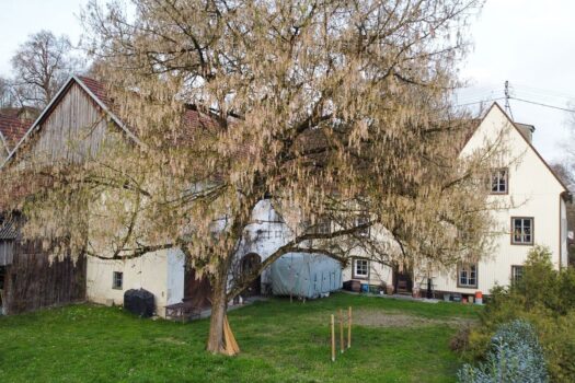 3yO7iQEHK7gHGcvngtgLAU 2