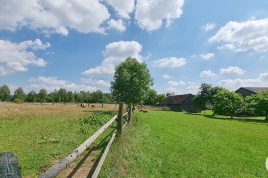 41MEdu29qYwHFH4gbEix82 1