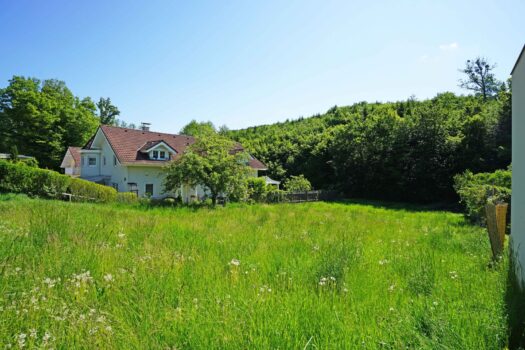 Idyllisches Baugrundstück mit Ganztagssonne am Waldrand – Ruhelage nur 5 km von Wien! Blick nach Osten Richtung Wald