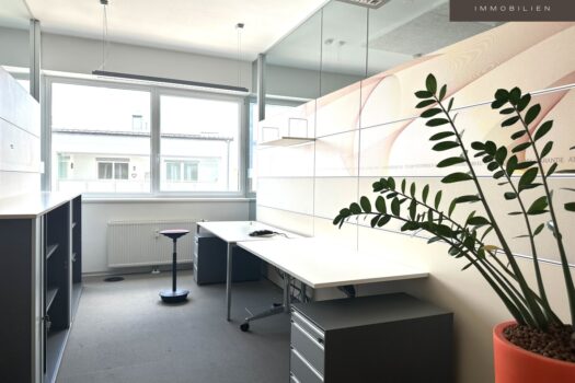 5Gm1eDmEao6bdN0iBc0bUE