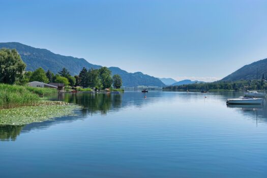 5HLq2EWfHOiCH5YP9lOhPy