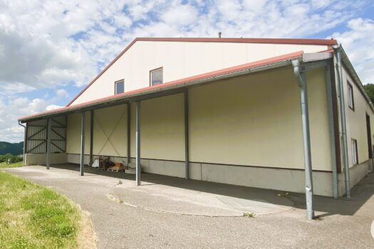 5khEcWc38aW8eeT3mPXubR