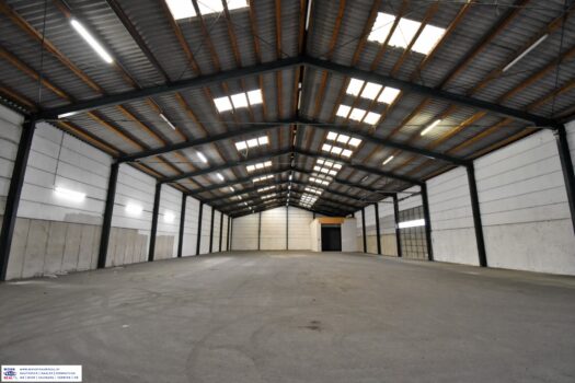 5vMC8OasUsL52frtVvtwBI