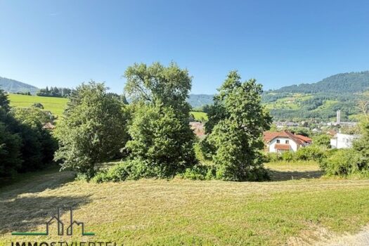 6CL8xy1b6i9IZwiEimog6n