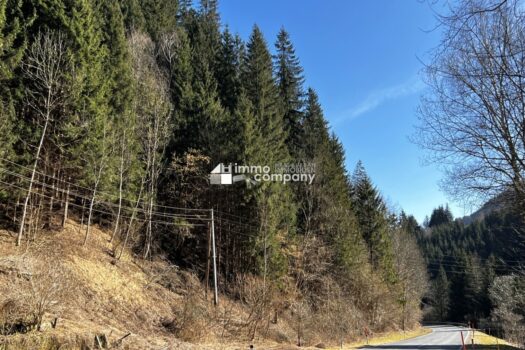 7cXjQAAZW49GF87lAp04Xd