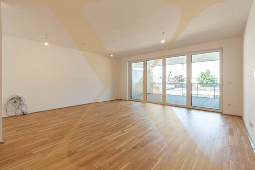 Wohn-, Koch- & Essbereich I