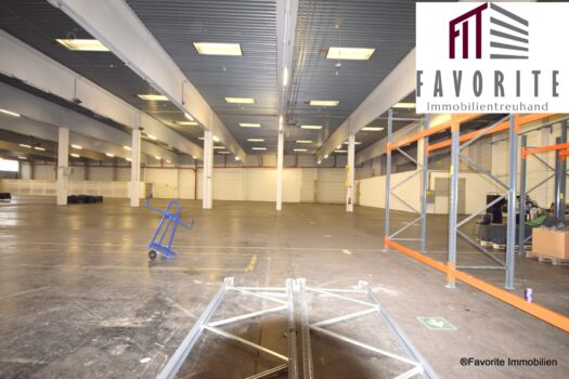 bUyuE0qMvgebLuLVLYTYR