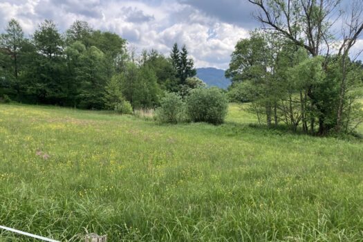 ok2rMyZCAUjnOv2az9P4c