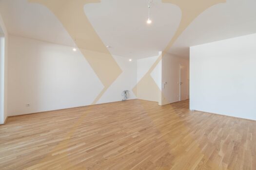 Wohn-, Koch- & Essbereich I