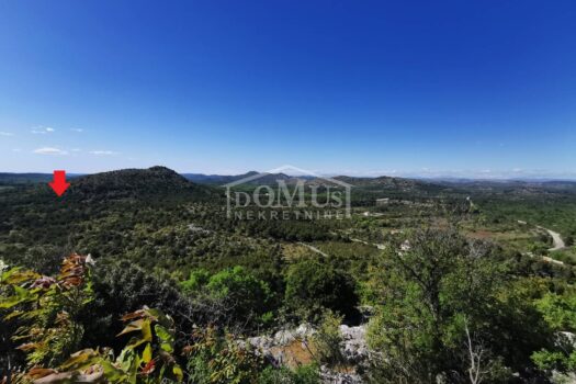 1588600034 img 20200503 155921