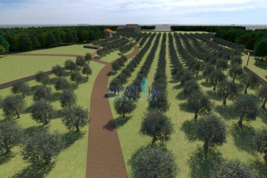 Lands Bale, 12.200m2 1669635446 jandric zemljiste bale 1204