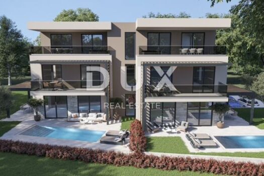 1673690671 51 2022 1 1