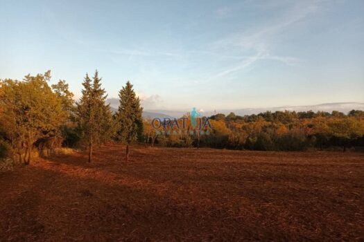 1678371387 img 20230301 wa0000