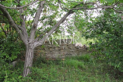 1690454029 brioni 029