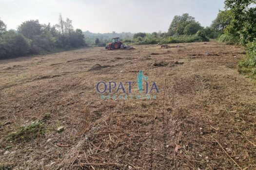 1707489585 1910718824689676451