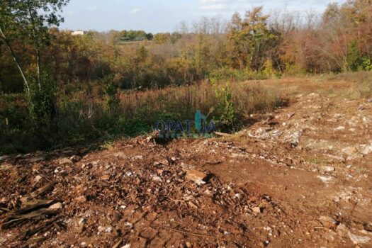 Lands Juricani, Umag, 2.836m2 1708422419 img 20230605 wa0003