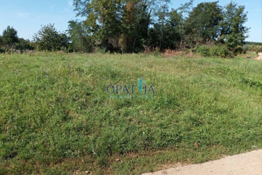 1708523237 img 20240213 102107