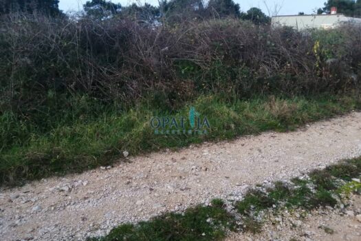 Lands Kaštel, Buje, 872m2 1708525093 img 20240213 092423
