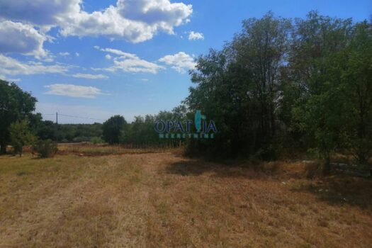 Lands Žbandaj, Poreč, 3.040m2 1709830844 img 20240306 wa0013