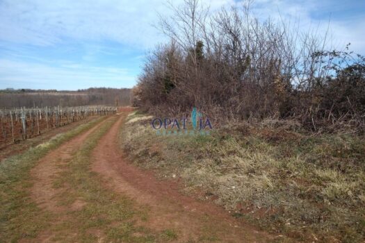 1710581777 img 20231103 wa0000 1