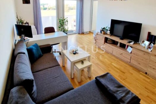 1711359601 fb img 1707831413910