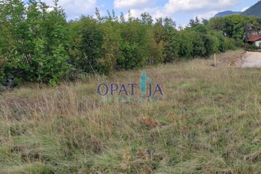 1712944350 1712942934098