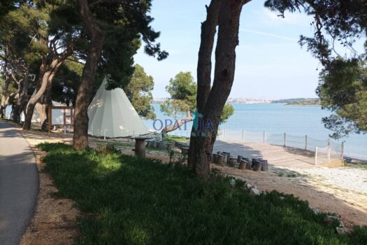 1713290248 img 20240316 145309