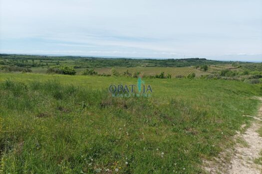 Lands Buje, 551m2 1713848209 img 20240419 133505