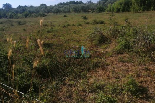 1715605258 1715240836718