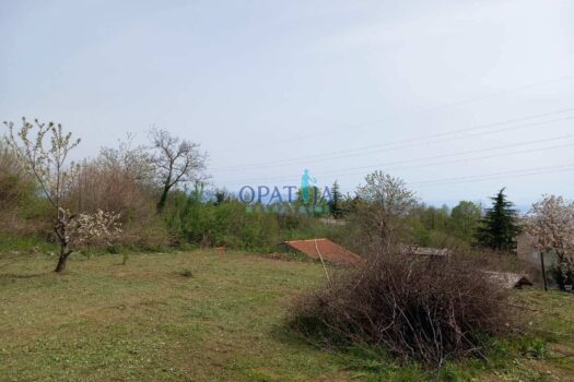 1717491449 1716969657467843