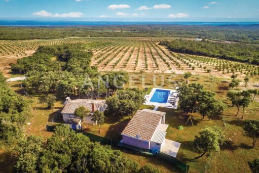 1728488852 civ289 main 03