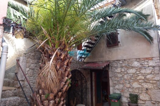 1729150830 20240229 153326