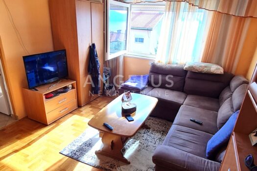 1729494914 20241020 142210