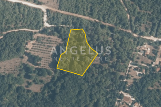 1730712143 snimka zaslona 2024 11 04 100919