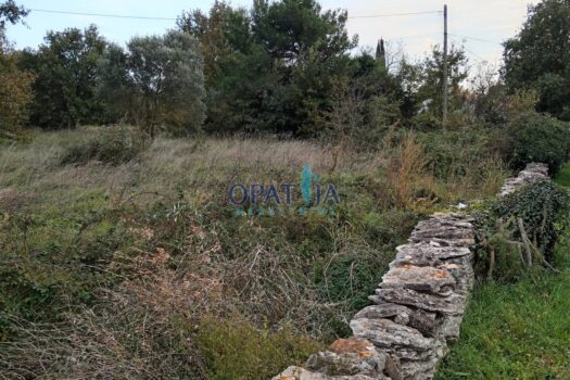 1732529982 img 20241118 183431