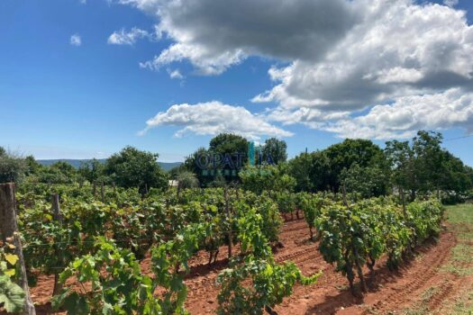 1733392901 img 20241122 wa0000