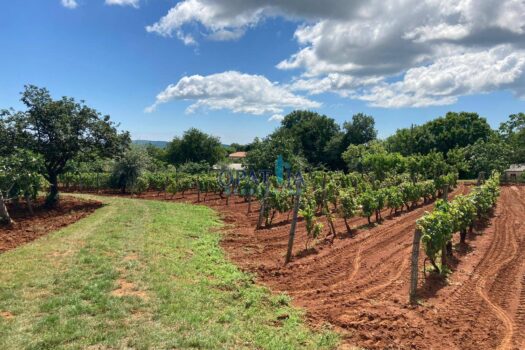 1733393020 img 20241122 wa0001